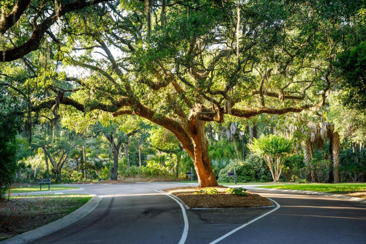 1313 Pelican Watch - Seabrook Island - Beachfront 5 Star Condo - Fido Friendly Luaran gambar